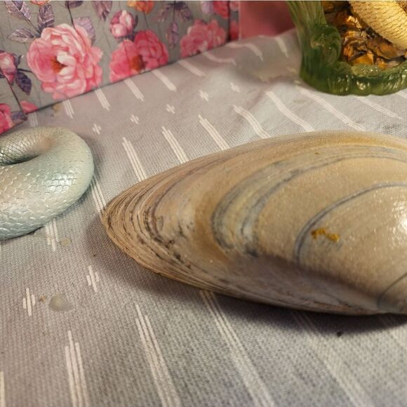 DECOUPAGE CLAM SHELL DECOUPAGE FLOWERS TRINKET DISH - Picture 11 of 11